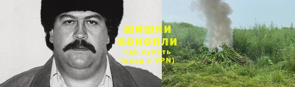 мет Бородино