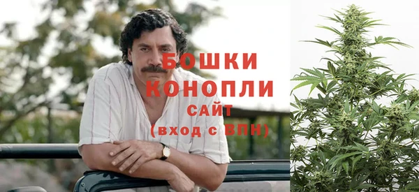 COCAINE Богородицк