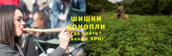 мет Бородино